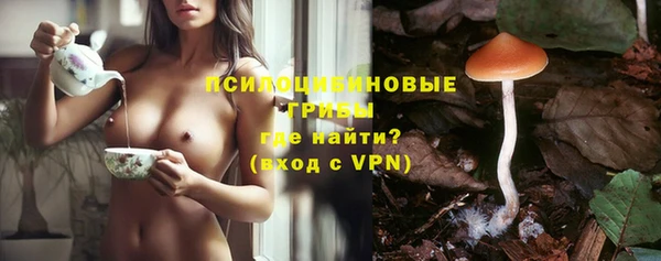 a pvp Абинск