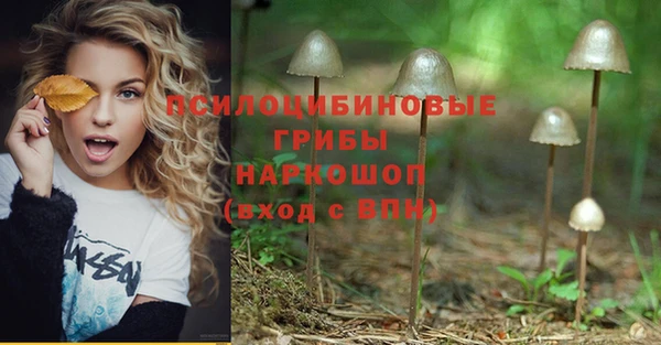 a pvp Абинск
