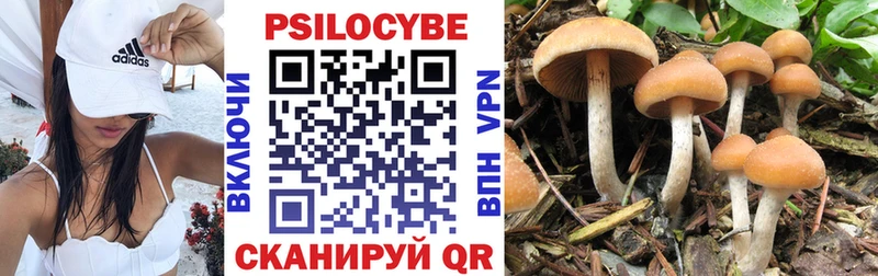 где продают Красково Галлюциногенные грибы Magic Shrooms